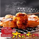 【日替わり数量限定】【1kg(100g×10パック)】国産牛 ピリ辛ホルモン (牛 小腸)【先行チケット利用NG】