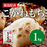 【1kg×1袋】令和7年産 新米【もち米】新潟県産こがねもち