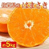 【予約受付】2/10~順次出荷【約5kg/サイズお任せ】《秀品》佐賀県産 はまさき 化粧箱入り