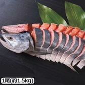 【1尾約1.5kg(約20切)】北海道産新巻鮭 姿切身
