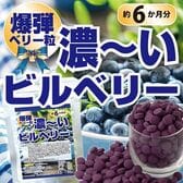 【日替わり数量限定】【約6か月分】爆弾ベリー粒 濃~いビルベリー(360粒)【先行チケット利用NG】