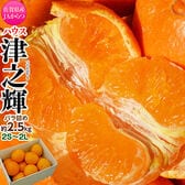 【予約受付】1/12~順次出荷【約2.5kg/2S〜2L】佐賀県産JAからつ 津之輝（つのかがやき）