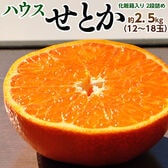 【予約受付】1/6~順次出荷【約2.5kg/12〜18玉】佐賀県産JAからつ せとか