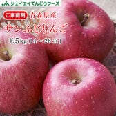 【予約受付】1/20~順次出荷【約5kg(14-28玉入り)】青森産サンふじりんご※ご家庭用