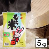 【5kg】令和7年産 もち米 山形県産 ヒメノモチ 白米