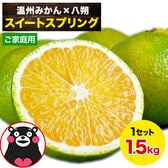【1.5kg】スイートスプリング※ご家庭用（傷あり サイズ不選別）