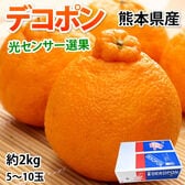 【予約受付】1/6~順次出荷【約2kg】デコポン 光センサー選果 熊本県産 DEKOPON