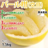 【予約受付】2/10~順次出荷【約1.5kg】熊本県産 パール柑（傷あり、不揃い、ご家庭用）