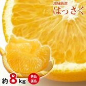 【予約受付】2/5~順次出荷【約8kg/サイズお任せ】産地厳選はっさく 秀・優品