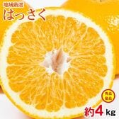 【予約受付】2/5~順次出荷【約4kg/サイズお任せ】地域厳選はっさく  秀・優品