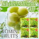 【100g×4袋】「凍眠フルーツ」 シャインマスカット4袋セット