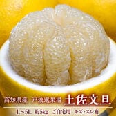 【予約受付】2/2~順次出荷【約5kg/ L〜5L】高知県産 柑橘 戸波選果場 土佐文旦