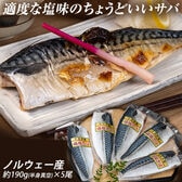 【約190g(半身真空)×5尾】適度な塩味「ちょうどいいサバ」ノルウェー産
