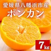 【約7kg】愛媛県八幡浜市産ポンカン サイズ不揃い