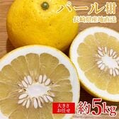 【予約受付】3/10~順次出荷【約5kg】パール柑 ご家庭用　産地直送品