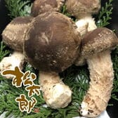 【日替わり数量限定】【150g×2パック】マツタケとシイタケのいいとこどり「松太郎」【先行チケット利用NG】