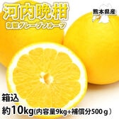 【予約受付】3/23~順次配送【箱込約10kg】熊本県産 河内晩柑（ご家庭用、傷あり）