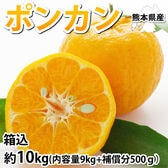 【箱込約10kg】熊本県産 ポンカン（傷あり、不揃い、ご家庭用）