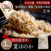 【玄米3kg】特別栽培米 大分県産 宗像農園 夏ほのか 栽培期間農薬不使用 令和7年産