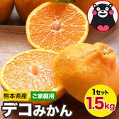 【予約受付】2/27~順次出荷【1.5kg】デコみかん※ご家庭用（傷あり サイズ不選別）