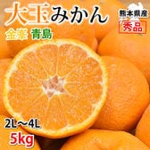 【5kg】 大玉みかん 秀品 金峯 青島 熊本県産