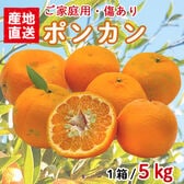 【5kgセット】 ポンカン (ご家庭用・傷あり) YDF-003