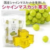 【日替わり数量限定】【1袋(16個前後入り)】国産シャインマスカットを使用！国産シャインマスカット寒天【先行チケット利用NG】