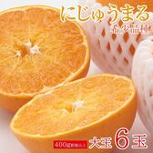 【予約受付】3/1~順次出荷【大玉6玉/1玉400g以上】佐賀県産にじゅうまる 希少品種