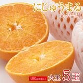 【予約受付】3/1~順次出荷【大玉5玉/1玉400g以上】佐賀県産にじゅうまる 希少品種