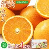 【予約受付】3/15~順次出荷【約4kg/サイズおまかせ】和歌山県産 清美オレンジ 秀品・優品