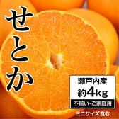 【約4.0kg】 瀬戸内産 せとか (ご家庭用・サイズ不選別)