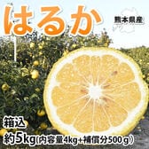 【箱込約5kg】熊本県産 はるか（傷あり、不揃い、ご自宅用）