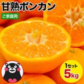 【5kg】甘熟ポンカン※ご家庭用（傷あり サイズ不選別）