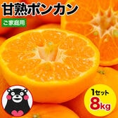 【8kg】甘熟ポンカン※ご家庭用（傷あり サイズ不選別）