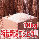 【10kg (5kg×2袋)】令和7年産  特別栽培米新潟県阿賀野産コシヒカリ