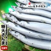 【約150〜160g/9~10尾入】お刺身OK 北海道根室産 特大さんま【冷凍】