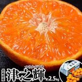 【約2.5kg/2S〜Lサイズ】津之輝（つのかがやき）長崎県産柑橘