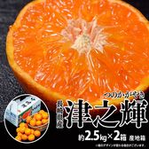 【計5キロ(約2.5kg×2箱/2S〜Lサイズ)】津之輝（つのかがやき）　長崎県産柑橘