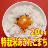 【20kg (5kg×4袋)】令和7年産 こだわり 特別栽培米秋田県仙北産あきたこまち