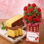 【予約受付】5/7~順次出荷【2026年母の日】カーネーション5号＆カステラセット