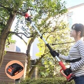 ファミラ 充電式コードレス2WAY高枝チェーンソー6点セット 予備バッテリー付き