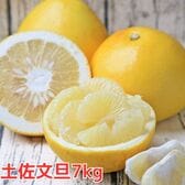 【7kg】高知県産 土佐文旦（ご家庭用・M-4Lサイズ込・枝傷・黒点等あり）