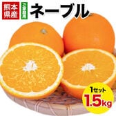 【1.5kg】ネーブル※ご家庭用（傷あり サイズ不選別）