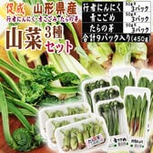 【3種450g】山形県産促成山菜＜行者にんにく・青こごみ・たらの芽＞(冷蔵便)
