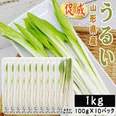 【1kg】山形県産 促成山菜 うるい 100g×10パック(クール便)