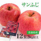 【3kg以上(秀品 12玉)】青森県産サンふじりんご