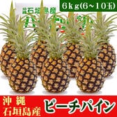 【予約受付】3/15~順次出荷【6kg(6-10玉)】石垣島の冬パイン（ピーチパイン）