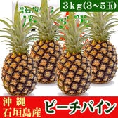 【予約受付】3/15~順次出荷【3kg(3-5玉)】石垣島の冬パイン（ピーチパイン）