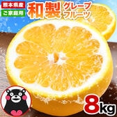 【予約受付】3/16~順次出荷【8kg】熊本県産 和製グレープフルーツ(河内晩柑)※ご家庭用