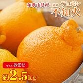 【約2.5kg/サイズお任せ】和歌山県産 不知火 (ご家庭用・傷あり)